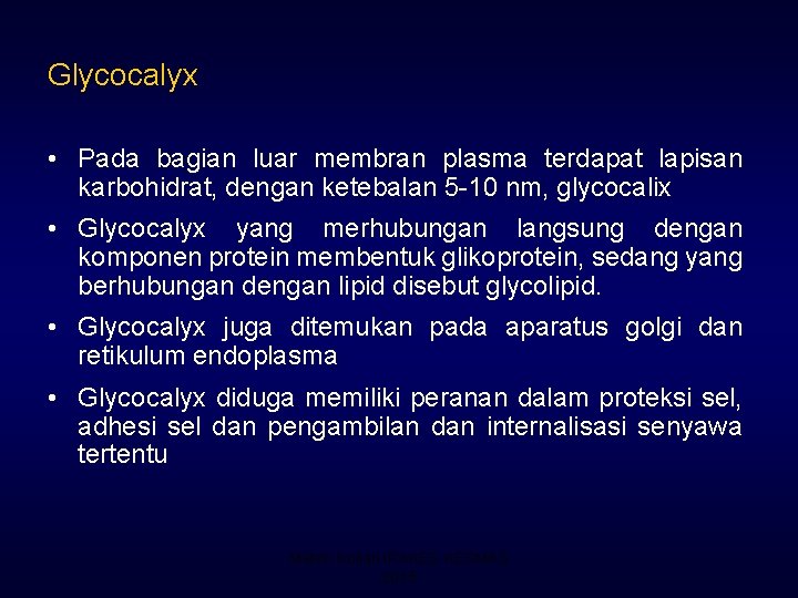 Glycocalyx • Pada bagian luar membran plasma terdapat lapisan karbohidrat, dengan ketebalan 5 -10