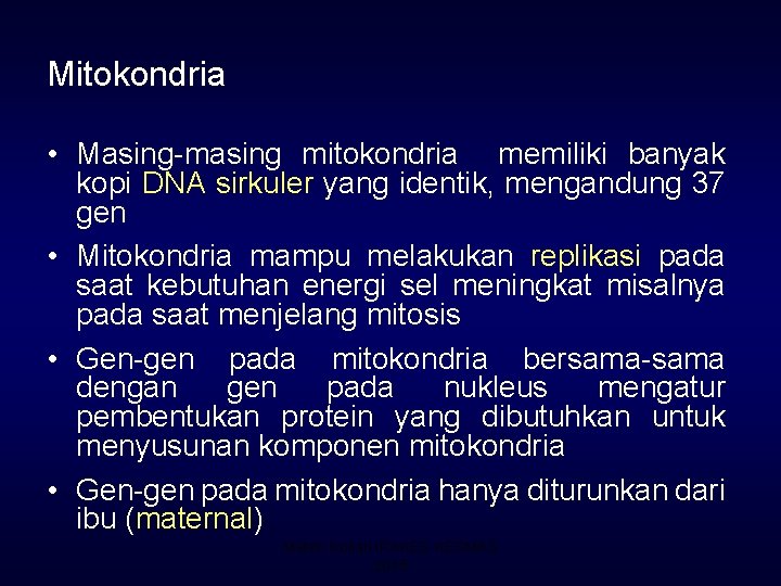 Mitokondria • Masing-masing mitokondria memiliki banyak kopi DNA sirkuler yang identik, mengandung 37 gen