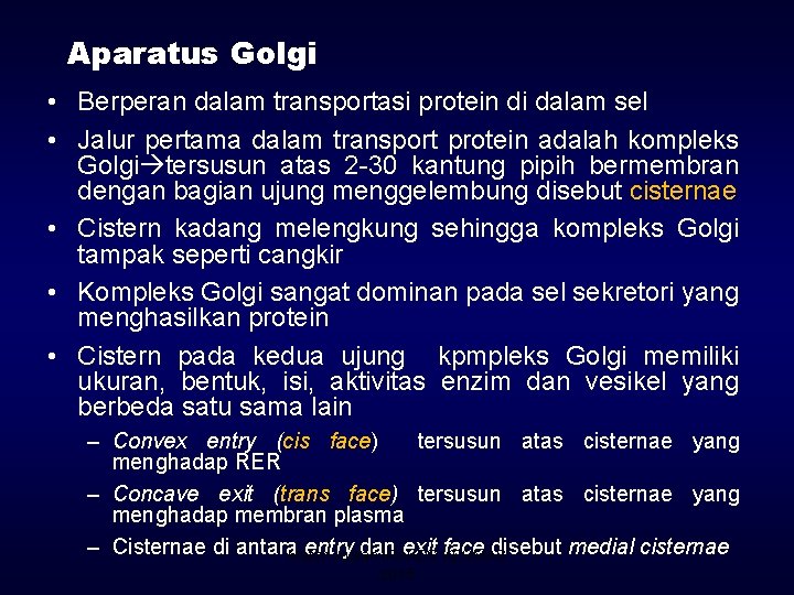 Aparatus Golgi • Berperan dalam transportasi protein di dalam sel • Jalur pertama dalam