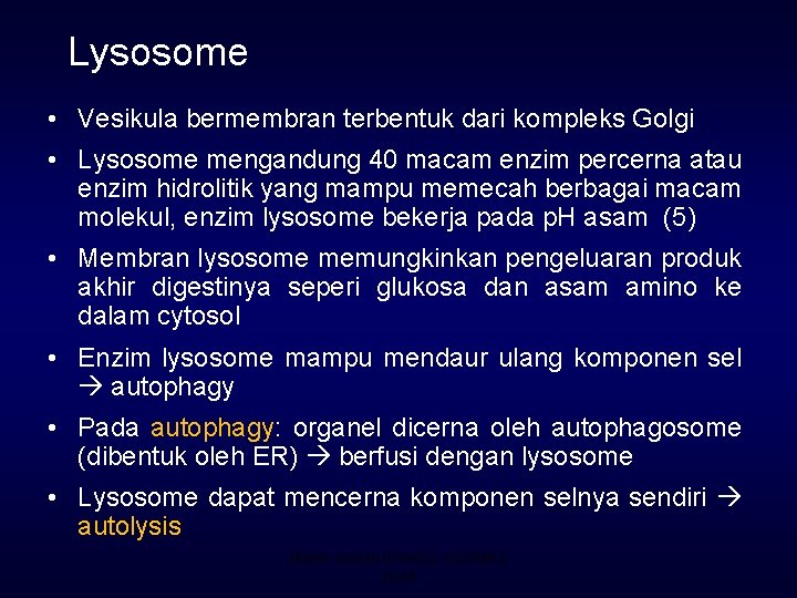 Lysosome • Vesikula bermembran terbentuk dari kompleks Golgi • Lysosome mengandung 40 macam enzim