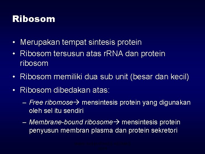 Ribosom • Merupakan tempat sintesis protein • Ribosom tersusun atas r. RNA dan protein