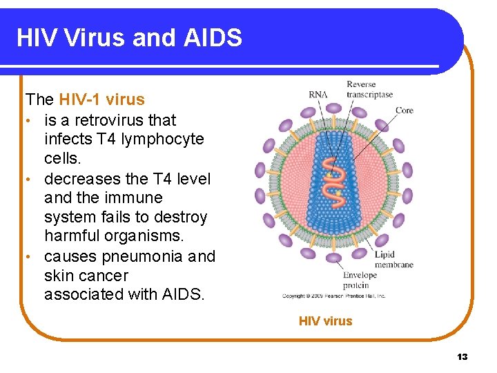 HIV Virus and AIDS The HIV-1 virus • is a retrovirus that infects T