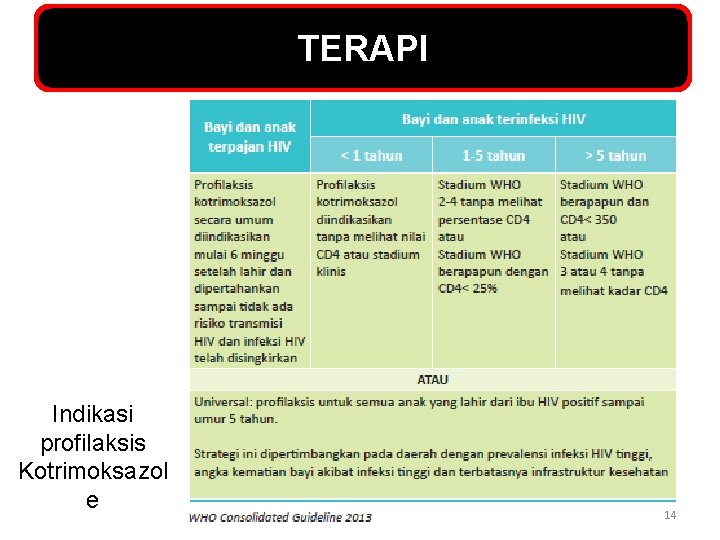 TERAPI Indikasi profilaksis Kotrimoksazol e 14 