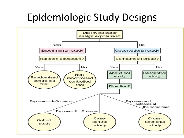 Epidemiologic Study Designs 