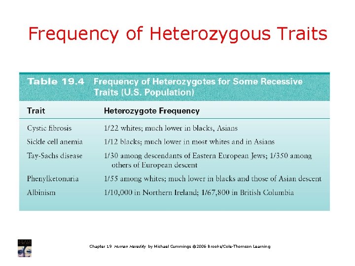 Frequency of Heterozygous Traits Chapter 19 Human Heredity by Michael Cummings © 2006 Brooks/Cole-Thomson