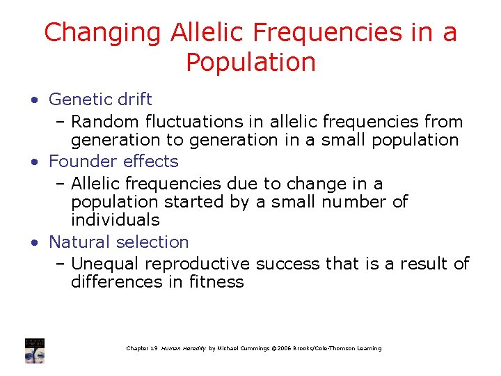 Changing Allelic Frequencies in a Population • Genetic drift – Random fluctuations in allelic