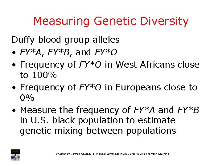 Measuring Genetic Diversity Duffy blood group alleles • FY*A, FY*B, and FY*O • Frequency