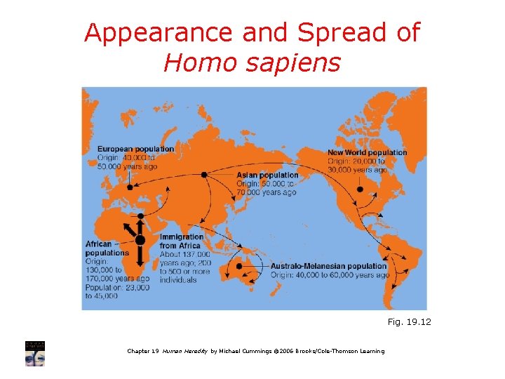Appearance and Spread of Homo sapiens Fig. 19. 12 Chapter 19 Human Heredity by