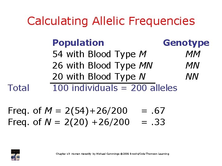 Calculating Allelic Frequencies Total Population Genotype 54 with Blood Type M MM 26 with