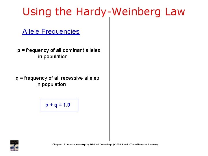 Using the Hardy-Weinberg Law Allele Frequencies p = frequency of all dominant alleles in