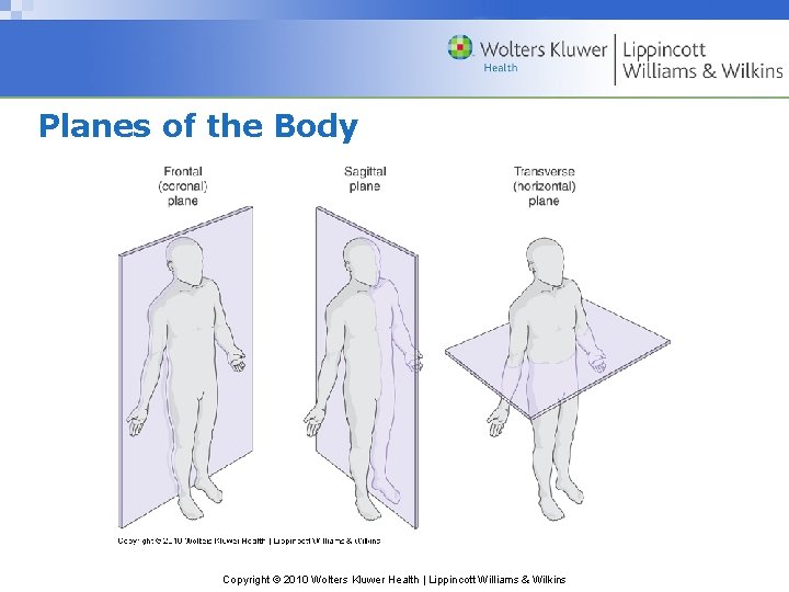 Planes of the Body Copyright © 2010 Wolters Kluwer Health | Lippincott Williams &