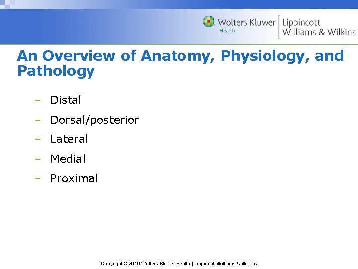 An Overview of Anatomy, Physiology, and Pathology – Distal – Dorsal/posterior – Lateral –
