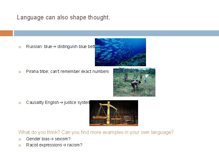 Language can also shape thought. Russian: blue distinguish blue better Piraha tribe: can’t remember