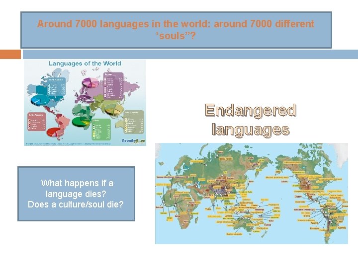 Around 7000 languages in the world: around 7000 different ‘souls”? Endangered languages What happens