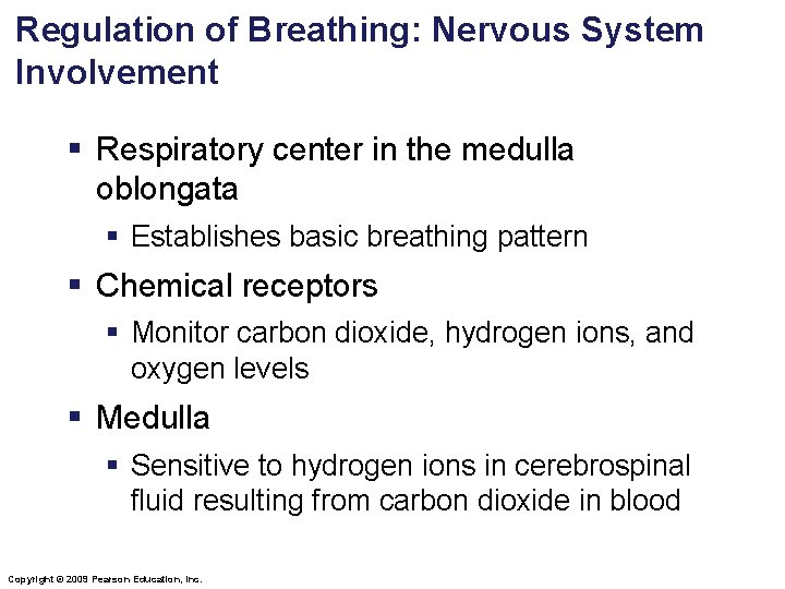 Regulation of Breathing: Nervous System Involvement § Respiratory center in the medulla oblongata §