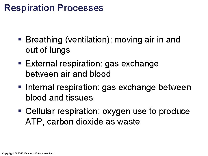 Respiration Processes § Breathing (ventilation): moving air in and out of lungs § External