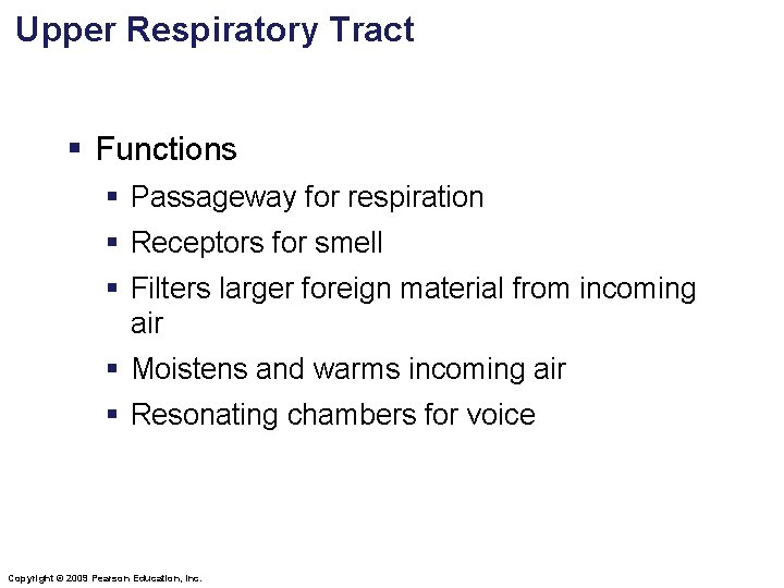 Upper Respiratory Tract § Functions § Passageway for respiration § Receptors for smell §