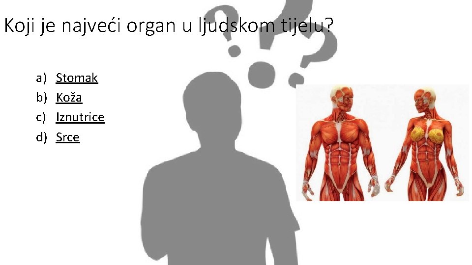 Koji je najveći organ u ljudskom tijelu? a) b) c) d) Stomak Koža Iznutrice