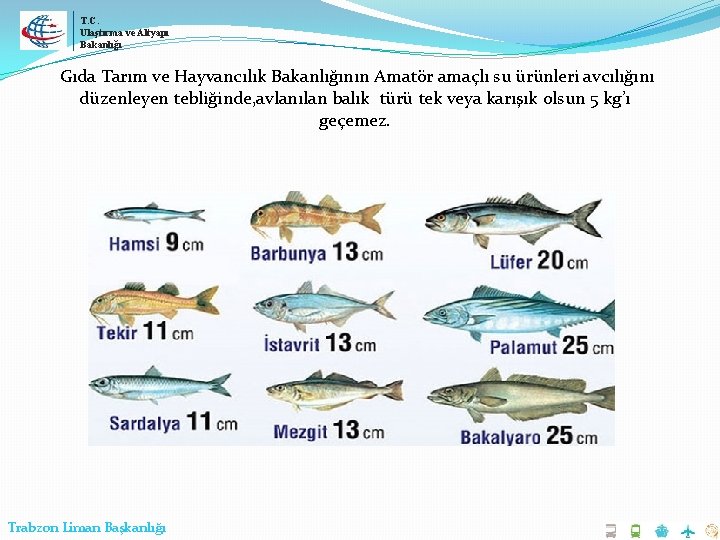 T. C. Ulaştırma ve Altyapı Bakanlığı Gıda Tarım ve Hayvancılık Bakanlığının Amatör amaçlı su