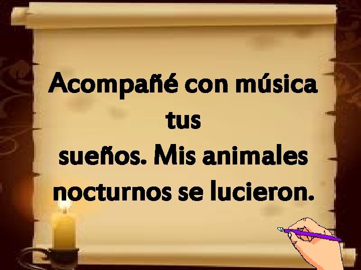 Acompañé con música tus sueños. Mis animales nocturnos se lucieron. 