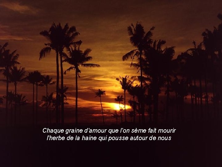 Chaque graine d'amour que l'on sème fait mourir l'herbe de la haine qui pousse