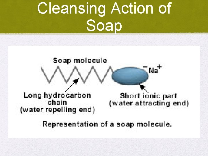 Cleansing Action of Soap 
