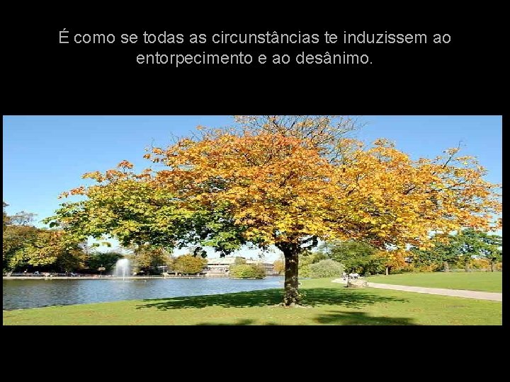 É como se todas as circunstâncias te induzissem ao entorpecimento e ao desânimo. 