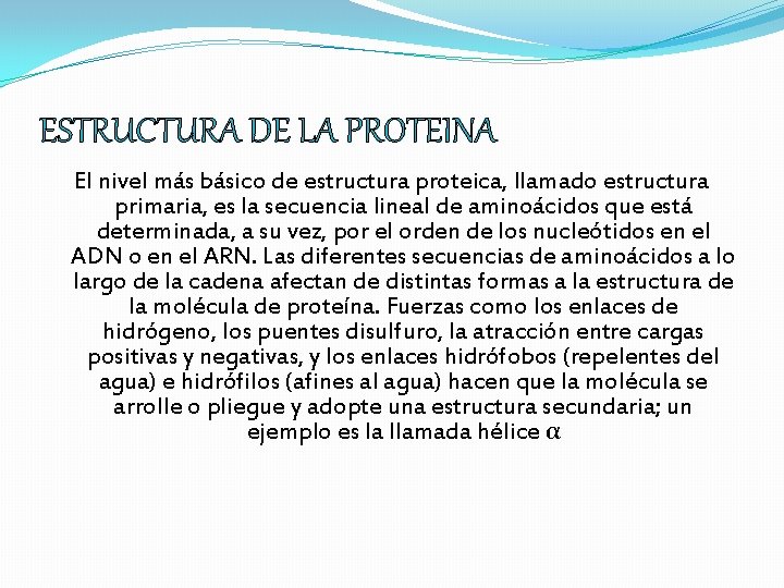 ESTRUCTURA DE LA PROTEINA El nivel más básico de estructura proteica, llamado estructura primaria,