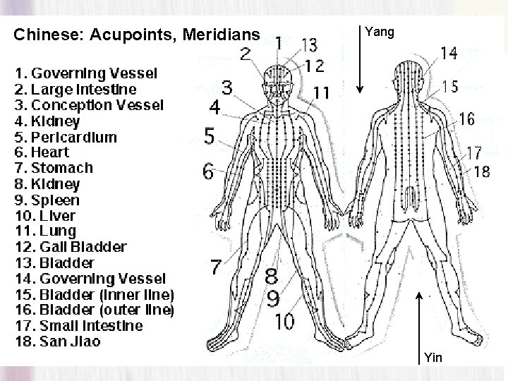 Chinese: Acupoints, Meridians Yang Yin 