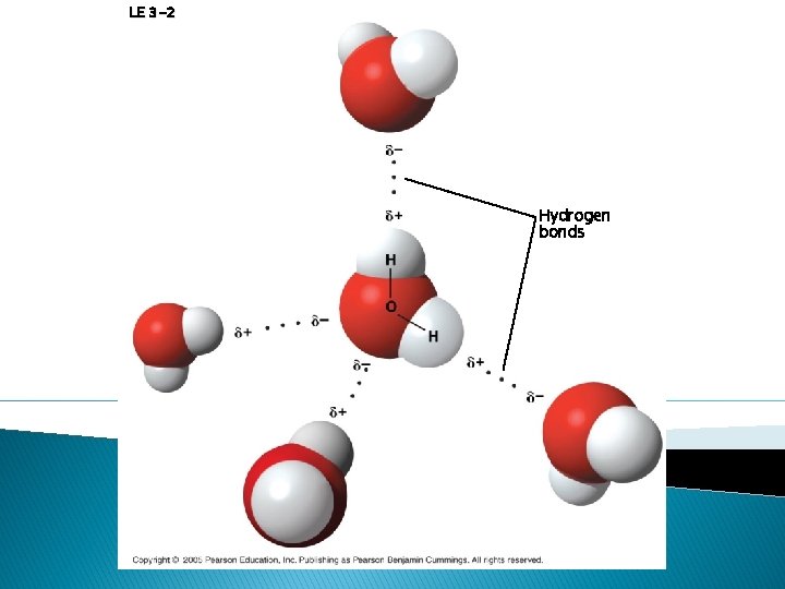 LE 3 -2 Hydrogen bonds LE 3 -2 Hydrogen bonds