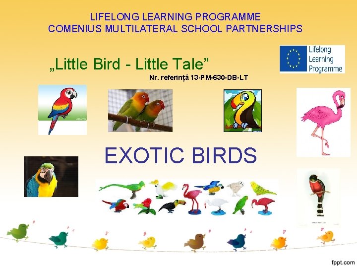 Lifelong Learning Programme Comenius Multilateral School Partnerships