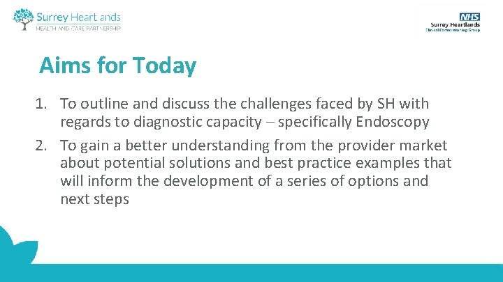 Aims for Today 1. To outline and discuss the challenges faced by SH with
