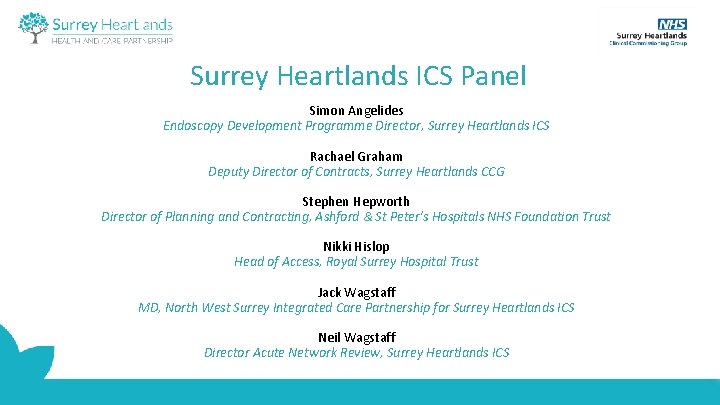 Surrey Heartlands ICS Panel Simon Angelides Endoscopy Development Programme Director, Surrey Heartlands ICS Rachael