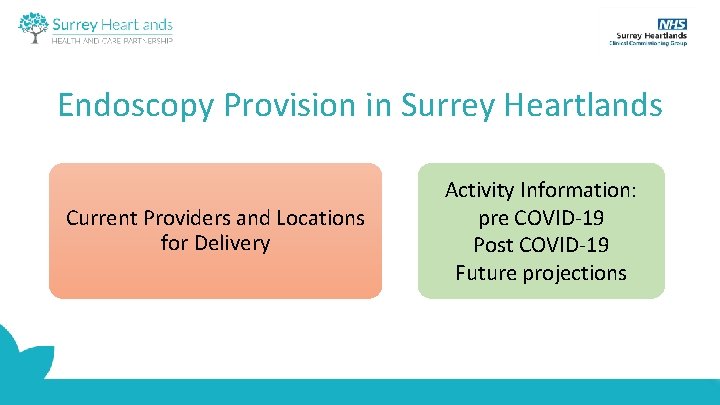 Endoscopy Provision in Surrey Heartlands Current Providers and Locations for Delivery Activity Information: pre