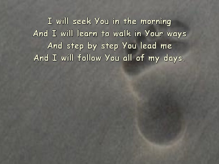 I will seek You in the morning And I will learn to walk in I will seek You in the morning And I will learn to walk in