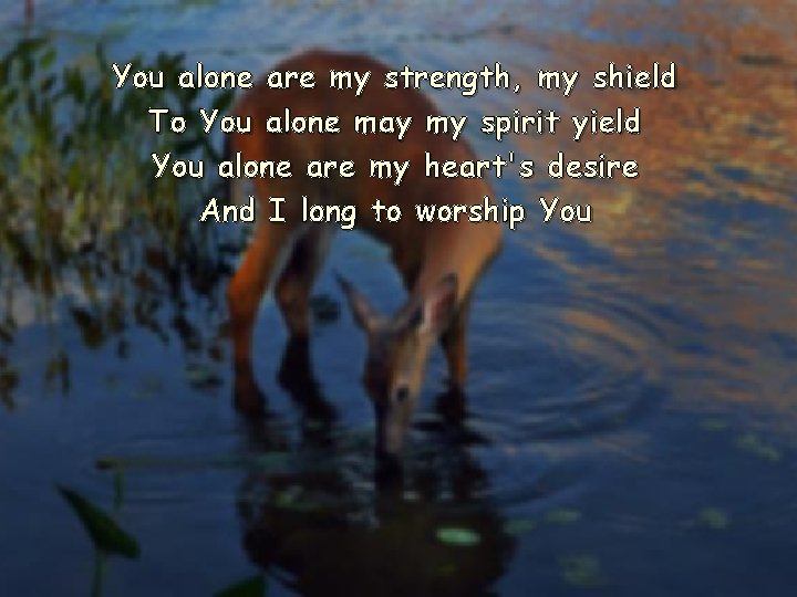 You alone are my strength, my shield To You alone may my spirit yield You alone are my strength, my shield To You alone may my spirit yield
