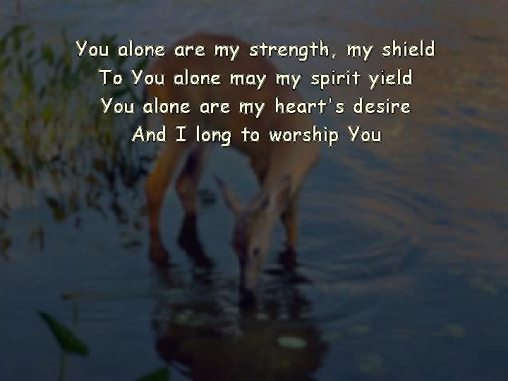You alone are my strength, my shield To You alone may my spirit yield You alone are my strength, my shield To You alone may my spirit yield