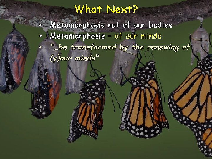 What Next? • Metamorphosis not of our bodies • Metamorphosis – of our minds What Next? • Metamorphosis not of our bodies • Metamorphosis – of our minds