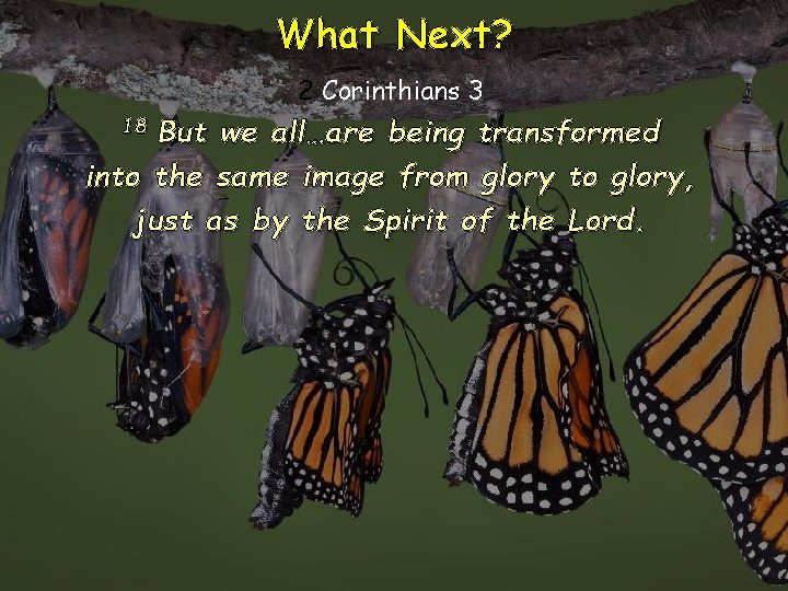 What Next? 2 Corinthians 3 But we all…are being transformed into the same image What Next? 2 Corinthians 3 But we all…are being transformed into the same image