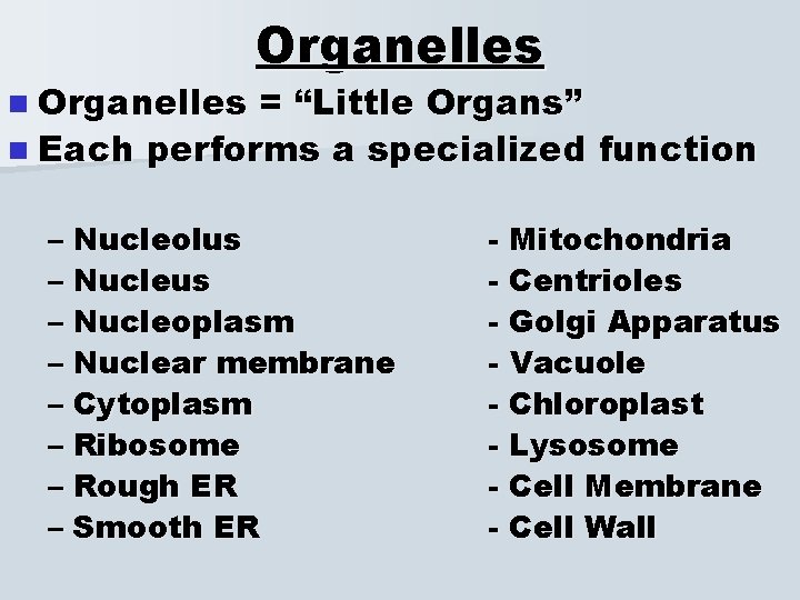 n Organelles = “Little Organs” n Each performs a specialized function – Nucleolus –