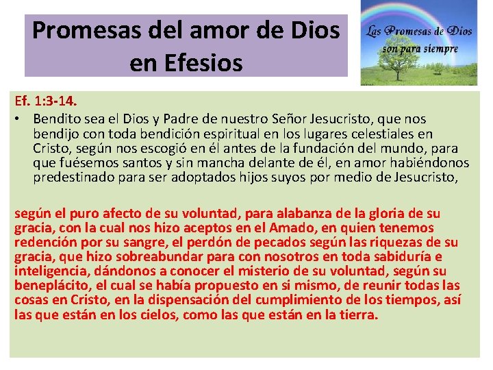 Promesas del amor de Dios en Efesios Ef. 1: 3 -14. • Bendito sea