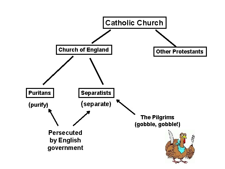 Catholic Church of England Puritans Separatists (purify) (separate) Other Protestants The Pilgrims (gobble, gobble!)