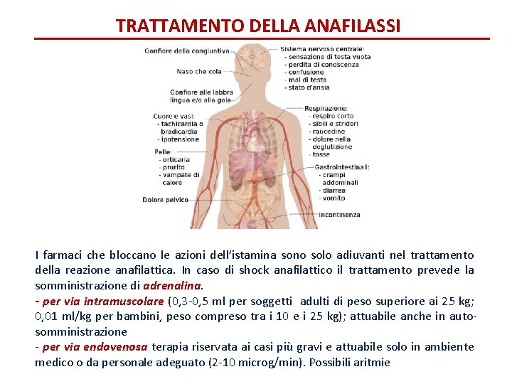 TRATTAMENTO DELLA ANAFILASSI I farmaci che bloccano le azioni dell’istamina sono solo adiuvanti nel