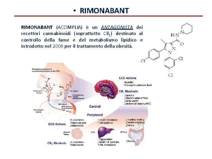  • RIMONABANT (ACOMPLIA) è un ANTAGONISTA dei recettori cannabinoidi (soprattutto CB 1) destinato
