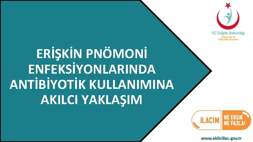 ERİŞKİN PNÖMONİ ENFEKSİYONLARINDA ANTİBİYOTİK KULLANIMINA AKILCI YAKLAŞIM 