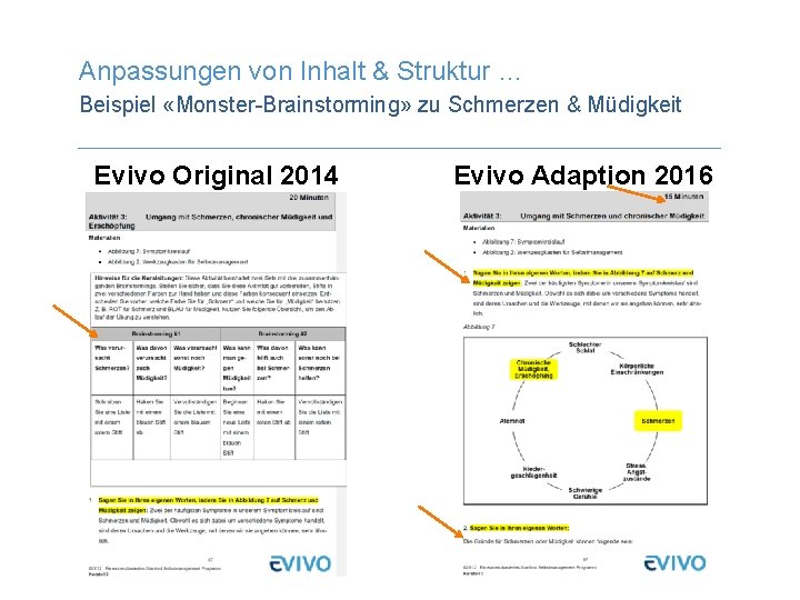 Anpassungen von Inhalt & Struktur … Beispiel «Monster-Brainstorming» zu Schmerzen & Müdigkeit Evivo Original