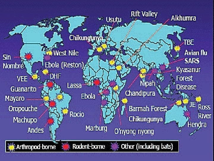 �Current estimates 1, 415 microbes are infectious for human. �Of these, 868 (61%) considered