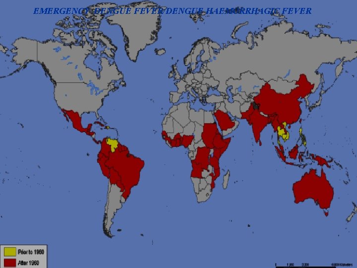 EMERGENCY DENGUE FEVER/DENGUE HAEMORRHAGIC FEVER 38 