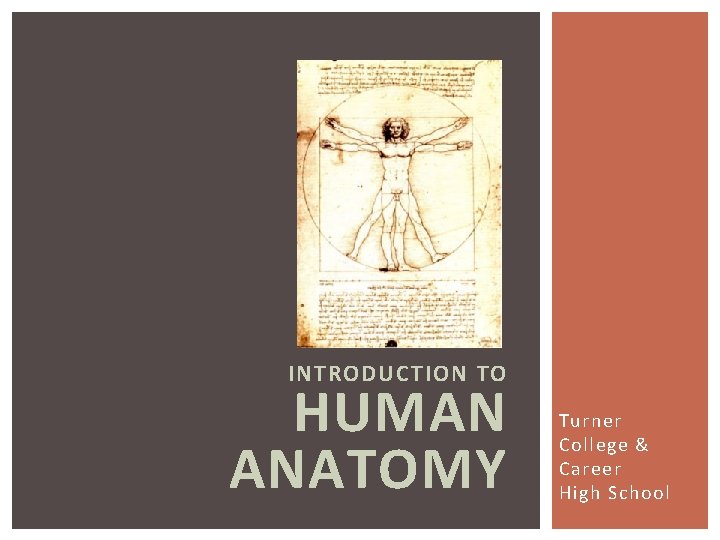 INTRODUCTION TO HUMAN ANATOMY Turner College & Career High School 