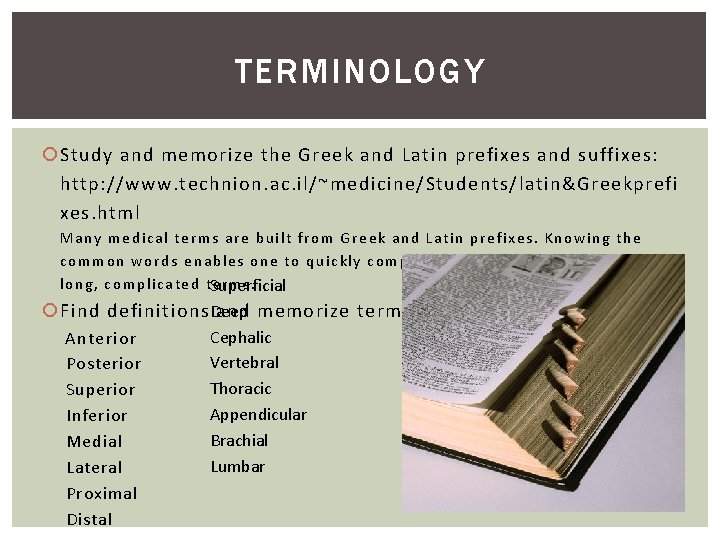 TERMINOLOGY Study and memorize the Greek and Latin prefixes and suffixes: http: //www. technion.